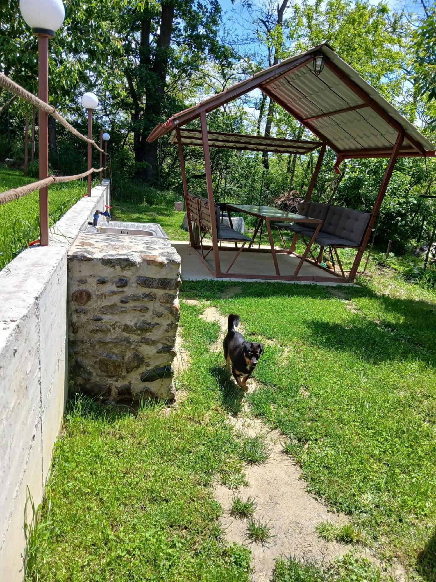 Perla Argesului, Ciubar, Piscina, Lift, Gratar, Cabana, Pensiuni, Hotel Cazare Transfagarasan Curtea De Arges Albestii de Arges Dış mekan fotoğraf